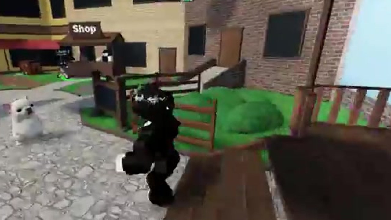 MM2 Locust Shop Loadout